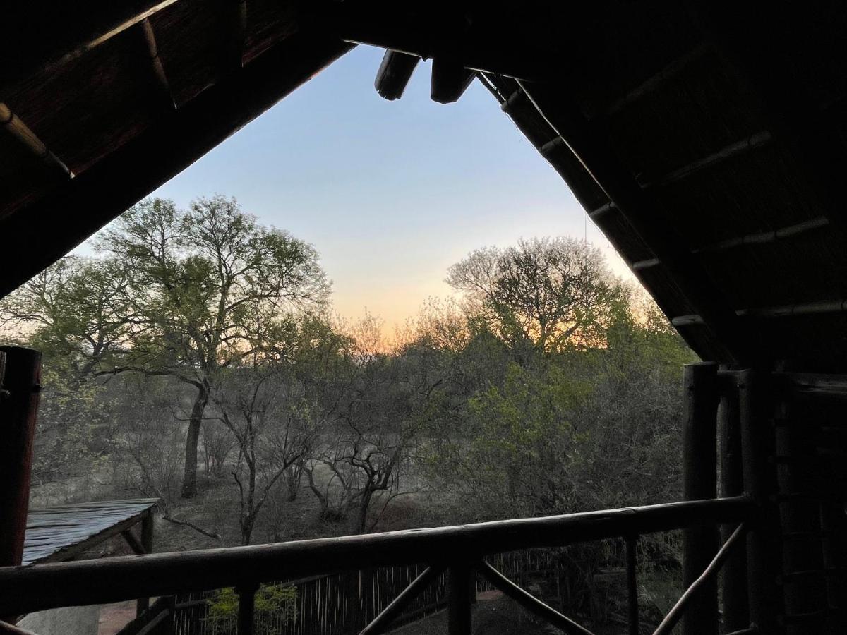 The Cheetah Rest Villa Hoedspruit Dış mekan fotoğraf