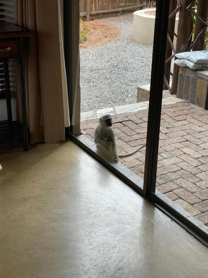 The Cheetah Rest Villa Hoedspruit Dış mekan fotoğraf