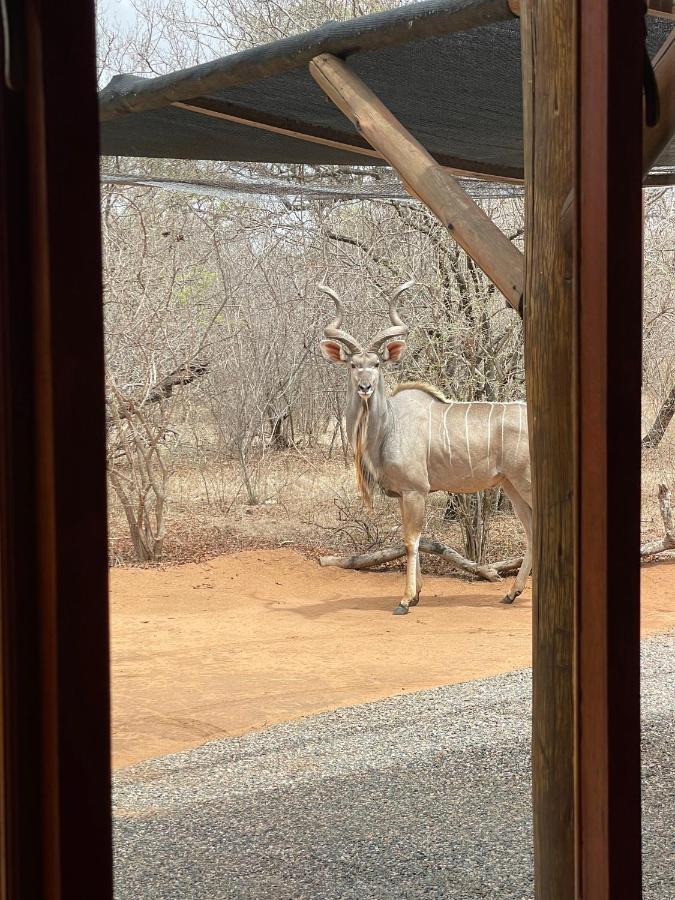 The Cheetah Rest Villa Hoedspruit Dış mekan fotoğraf